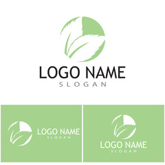 Mint leaves flat vector color icon template illustration design