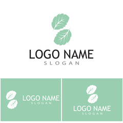 Mint leaves flat vector color icon template illustration design