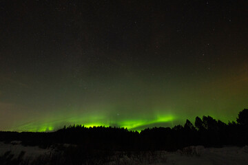 Fototapeta na wymiar aurora borealis over the forest