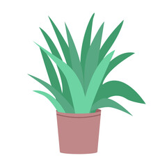 Aloe vera plant in pot semi flat color vector object. Houseplant. Full sized item on white. Growing succulent at home simple cartoon style illustration for web graphic design and animation