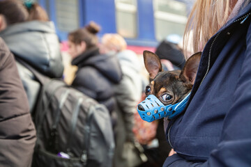 Ukrainian refugees on Lviv railway station waiting for train to escape to Europe