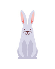 cartoon rabbit icon