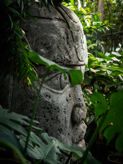 Olmec sculpture carved from stone. Mayan symbol - Big stone head statue in a jungle