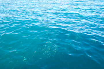 Fototapeta na wymiar sea blue water with fish. summer vacation malibu. water background