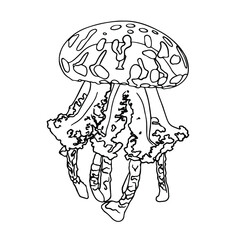 Black outline vector doodle cartoon jellyfish . Vector illustration.Sealife.
