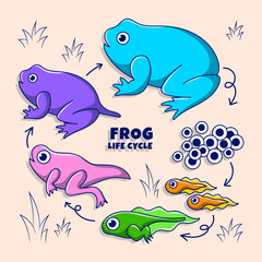 Frog Life Cycle Illustration with Colored hand drawn doodle style