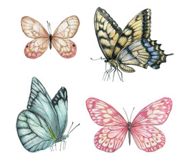 Watercolor butterflies collection isolated on white background.Realistic garden insect, botanical, pink and blue butterfly, hand-drawn graphics.