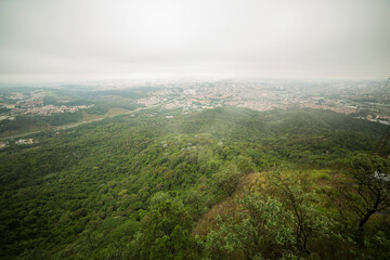 Mata Atlântica envolvendo o perímetro urbano da cidade de São Paulo, Brasil.  