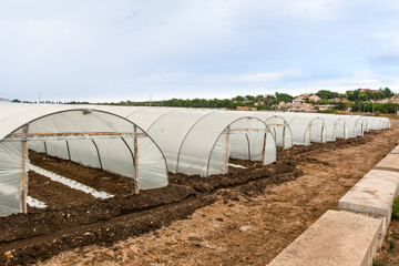 Row of hoop houses