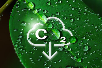 Reduce CO2 emission. leaves with water droplets. A natural environment that uses renewable energy...