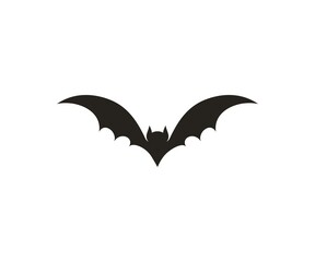 Bat vector icon. Bird icon on white background