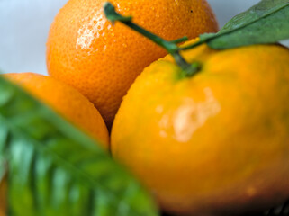 tangerines or mandarin fruit with leaves and close-up on tiny waterdrops and orange color