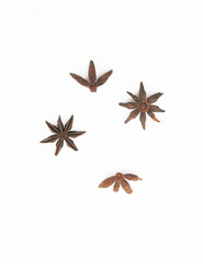 Fototapeta na wymiar star anise seed isolated on white background, view from above