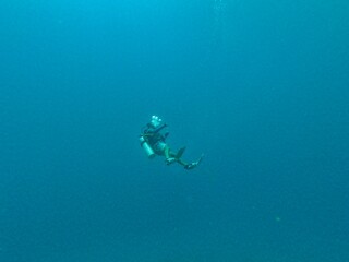 Obraz na płótnie Canvas scuba diver in the sea