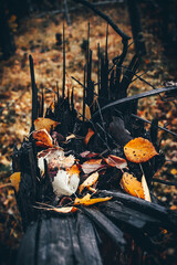 To more foto: Pexels | Danila Popov