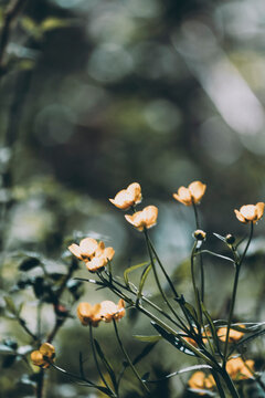 To more foto: Pexels | Danila Popov