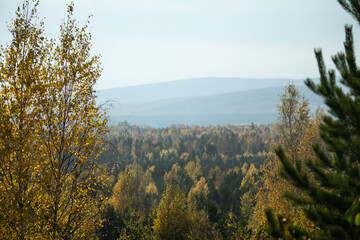 To more foto: Pexels | Danila Popov