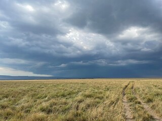 Masai Mara Kenya Landscape