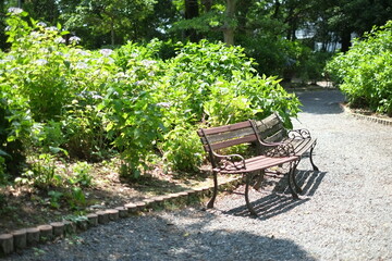 bench in the park