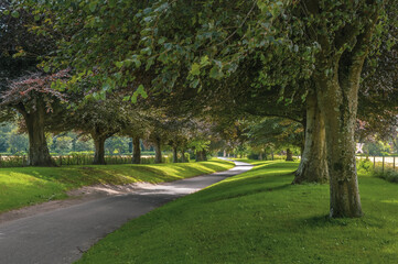 Country Lane In Maiden Bradley, Wiltshire. England