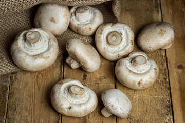 Champignons on a wooden background. Fresh white mushrooms. A lot of mushrooms