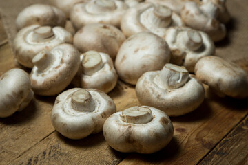Champignons on a wooden background. Fresh white mushrooms. A lot of mushrooms