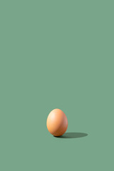 Egg on green background. Minimal concept.
