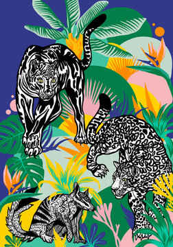Jungle Panther and  tropical plants with Numbat Animal 