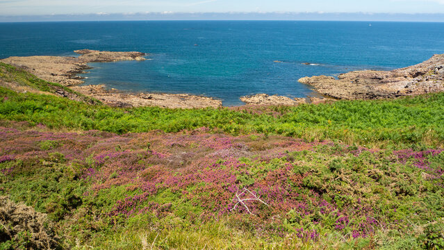 Landes bretonne, rochers, l'horizon