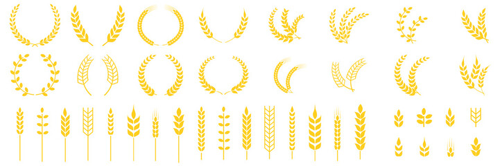 Wheat ears icons, bread agriculture and natural