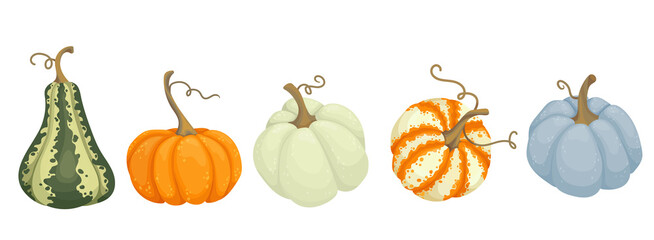 Set of autumn pumpkins.Juicy cartoon vegetables.Vector graphics.