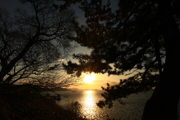 sunset
