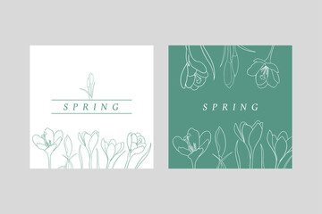 two festive spring cards with crocuses. Invitation