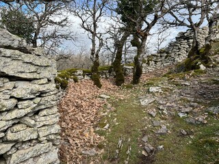 around the Sardinian nature seeing trees, rocks, lakes, rivers standing in the sun among the leaves...