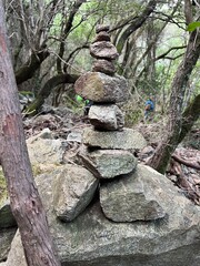 around the Sardinian nature seeing trees, rocks, lakes, rivers standing in the sun among the leaves and trunks enjoying the good sun
