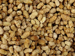Dried white mulberries on a farmers market stall in the Aegean coastal town Bodrum, Turkey.    