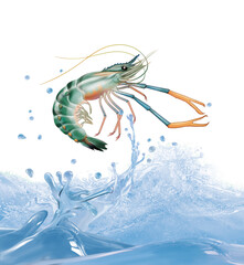 crevette d'eau douce, vague, goutte, frais, pêche, congelé,  mer, animal, blanc, griffe ,fruits de mer poissonnier,  brut, fleuve, nature, crabe, poisson, antennes,  gros plan, bon vivant, carapace, 
