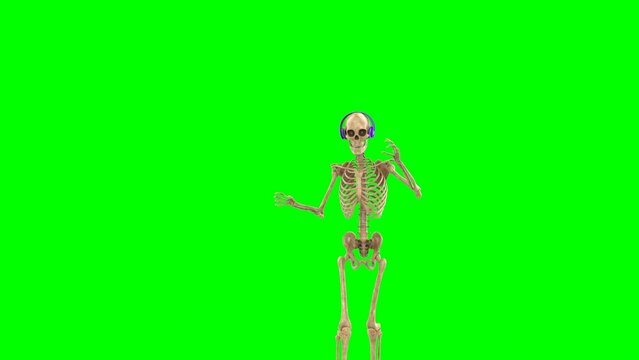 dj skeleton is dancing on chroma key background