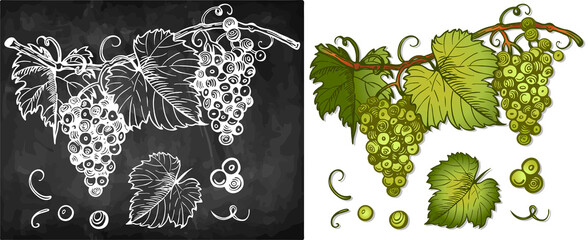 Chalk drawing bunch of grapes and leaves on blackboard. Sketch hand drawn organic green wine logo isolated on white background. Fresh  grape berries, outline juicy fruits, harvest. Vector illustration - 493512144