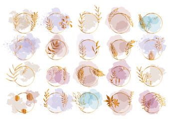 Set of floral frames with different grasses, ferns and leaves. Flower wreaths with ornaments and gold effects. Element design. Vector illustration with colorful watercolors and gold.