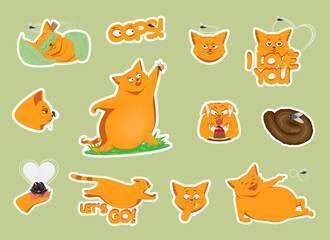Stickers with a cat and a fly for social networks, packaging, printing, print on clothes. Funny characters, vector illustration