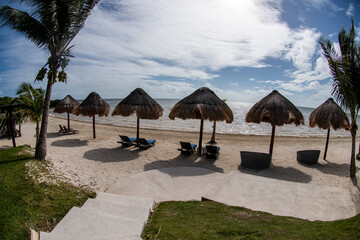 Fototapeta premium Palmeras en Cancún 