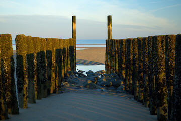 Alte Buhnen stehen bei Ebbe im abendrot und zwischen den Buhnen hat man den Strand und das Meer im...