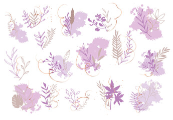 Set of floral elements with different grasses, ferns and leaves. Flower wreaths with ornaments and gold glitter effects. Element design. Vector illustration with colorful watercolors and gold.