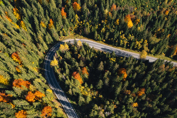 Aerial view of asphalt road surrounded by coniferous forest on sunny day. Drone photography