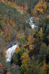 Ordesa en otoño.Pirineo aragones
