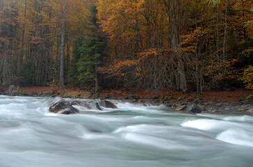 Ordesa en otoño.Pirineo aragones