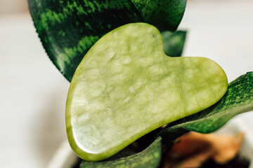 Massage stone jade gouache scraper on wooden background.