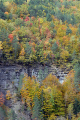 Ordesa en otoño.Pirineo aragones