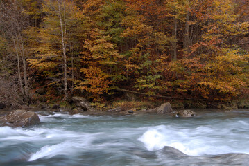 Ordesa en otoño.Pirineo aragones